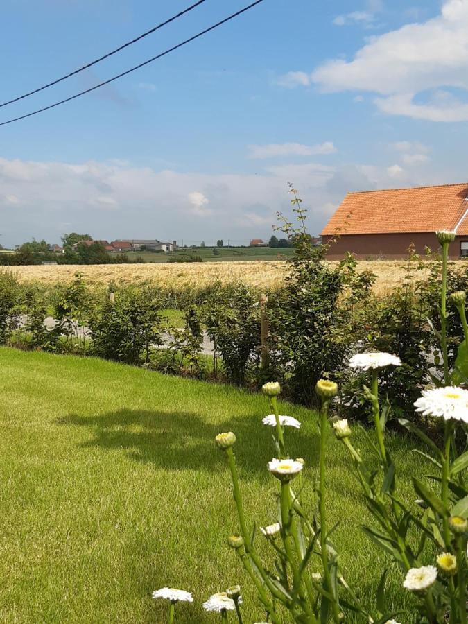 Vakantiehuis Zoetendaal 雷尼格尔斯特 外观 照片