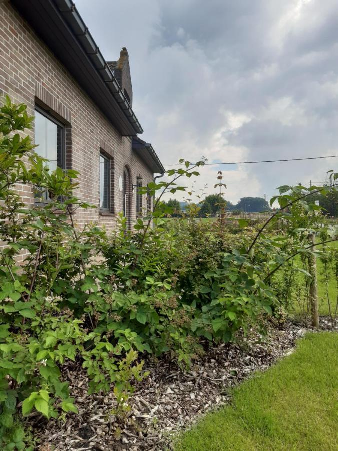 Vakantiehuis Zoetendaal 雷尼格尔斯特 外观 照片