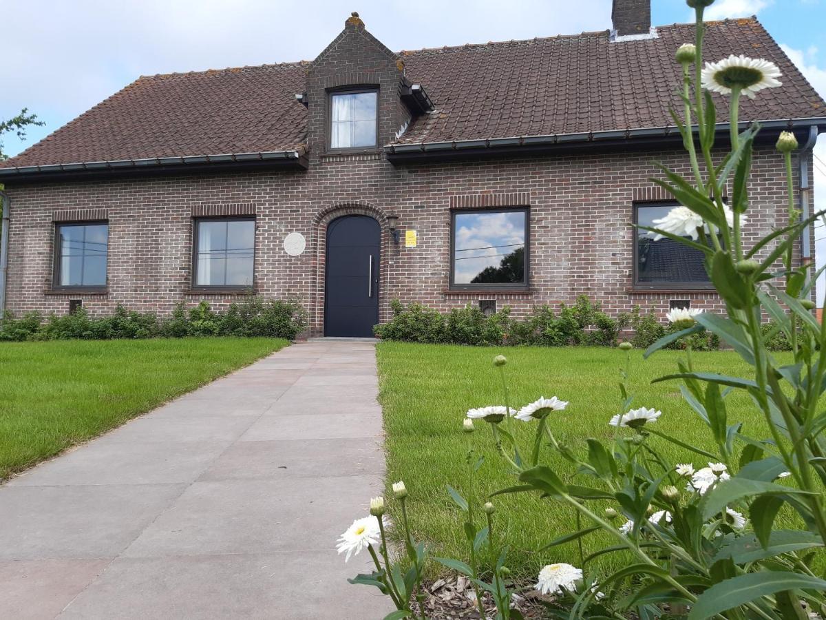 Vakantiehuis Zoetendaal 雷尼格尔斯特 外观 照片